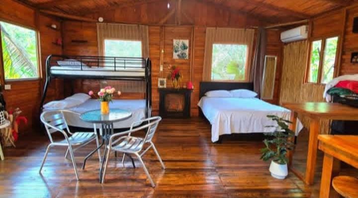 Tree House River Apartment in Alajuela Province