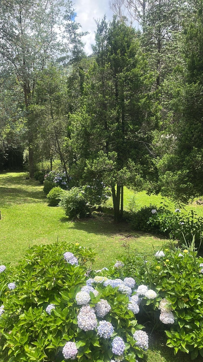 Campos Jordao House 4 bedrooms, barbecue area, garden Villa in Campos do Jordão