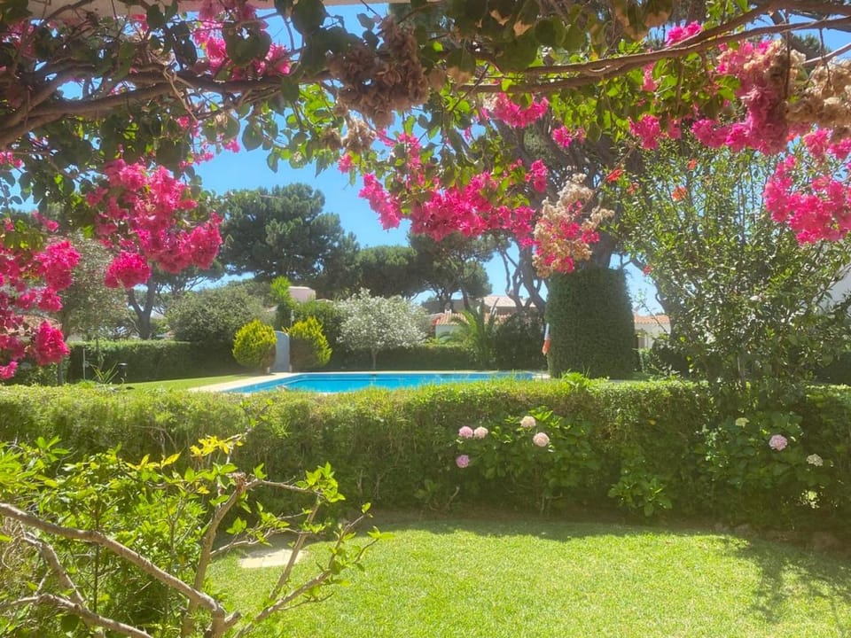 Garden, Garden, Garden view, Pool view