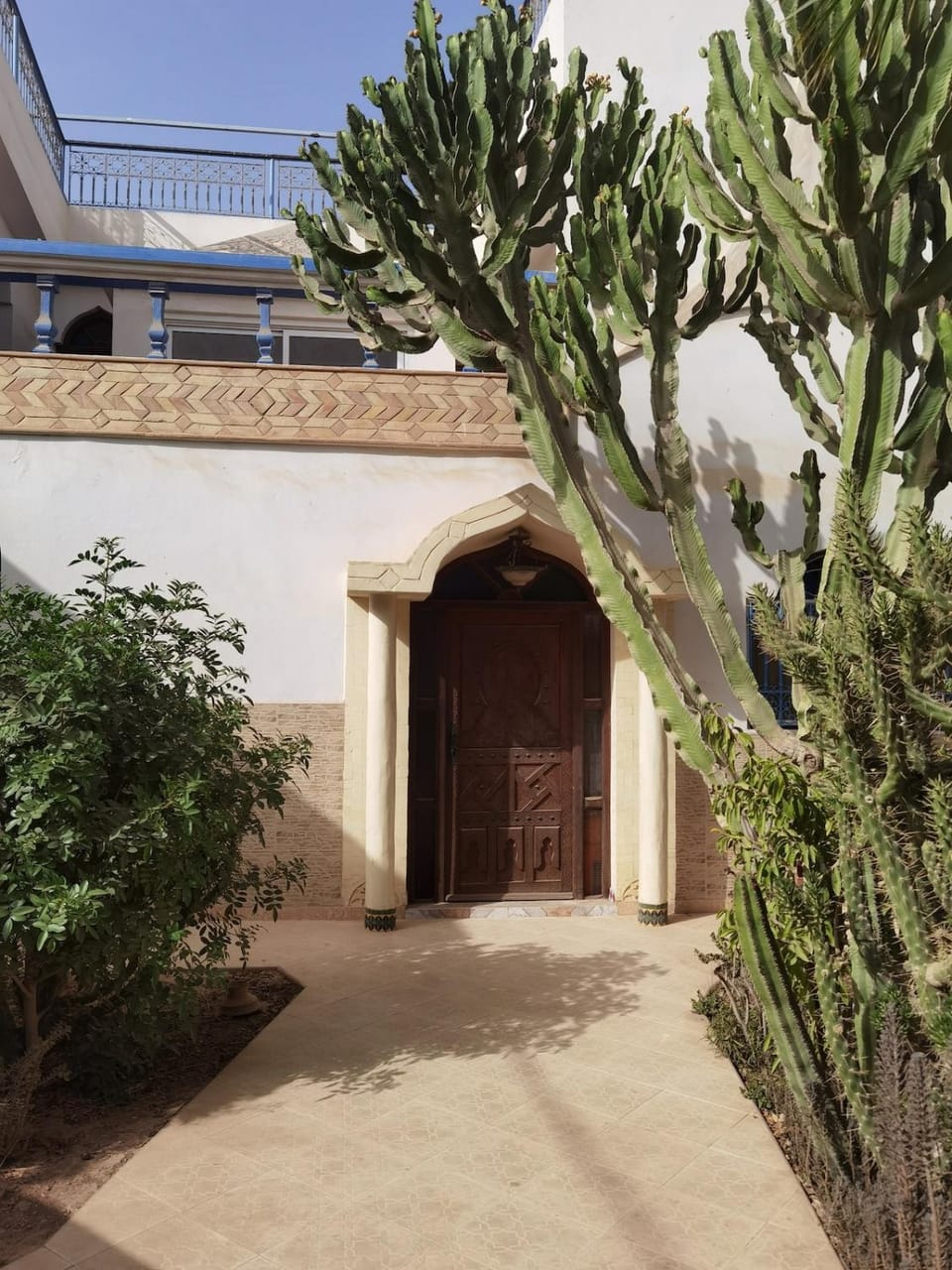 Garden view