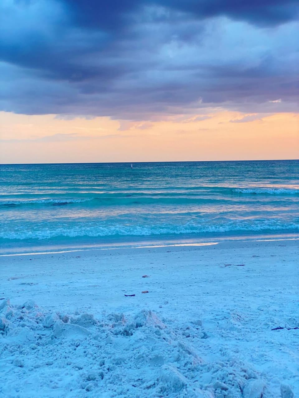 Sunny Escape with Pool 10 minutes from Siesta Key House in Gulf Gate Estates
