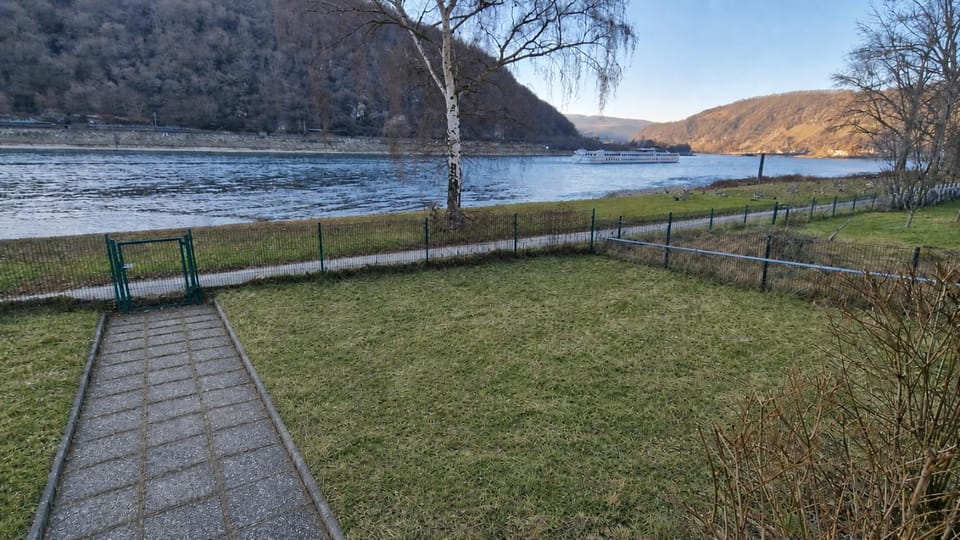 Natural landscape, Garden, River view