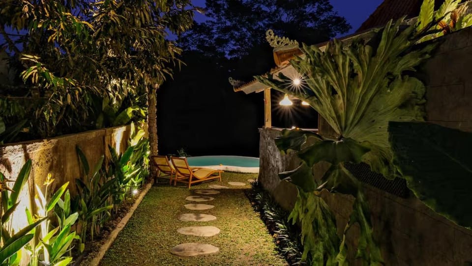 Night, Natural landscape, Garden, Swimming pool