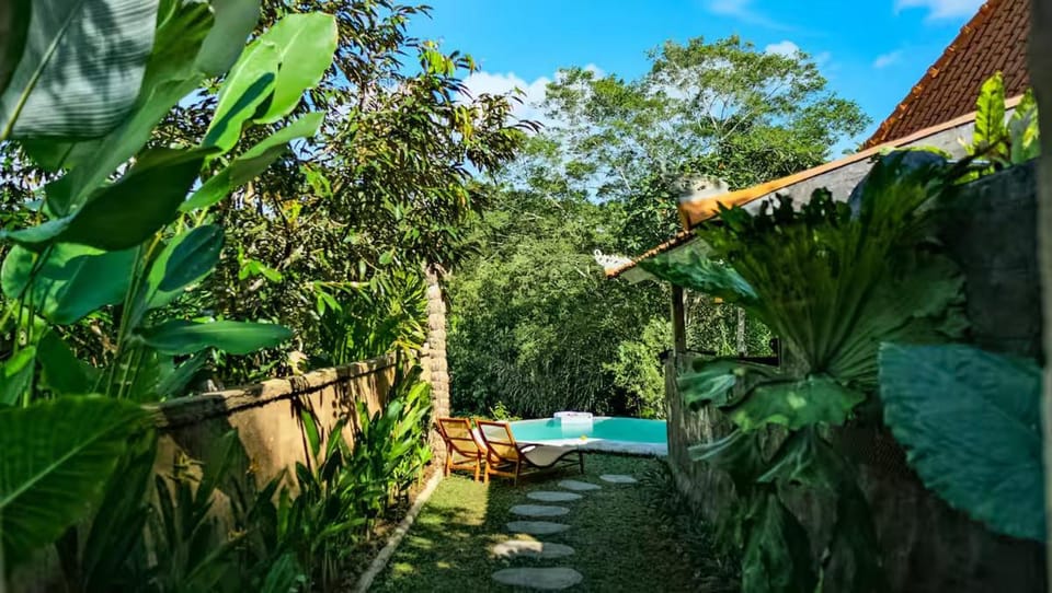 Natural landscape, Garden view, sunbed
