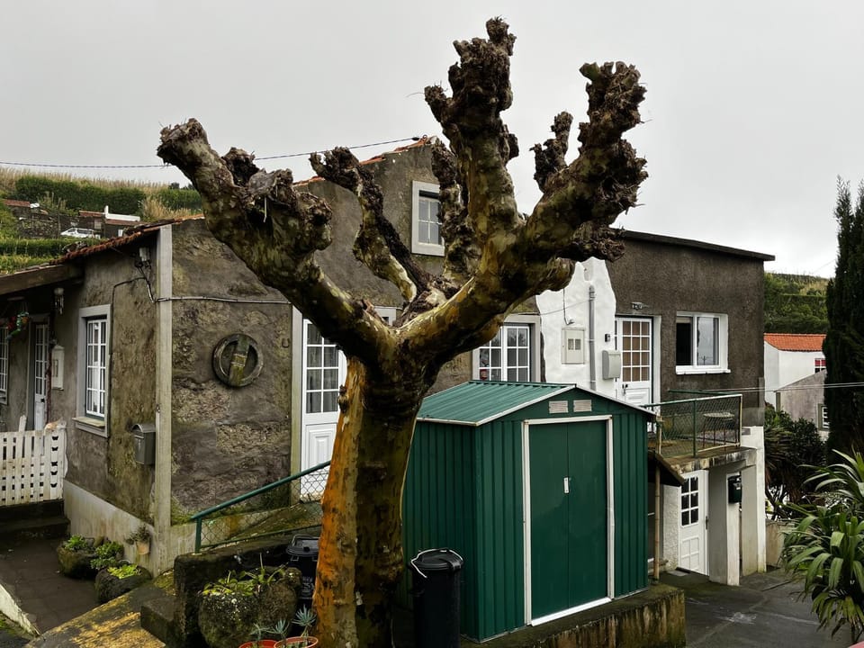 Property building, Street view