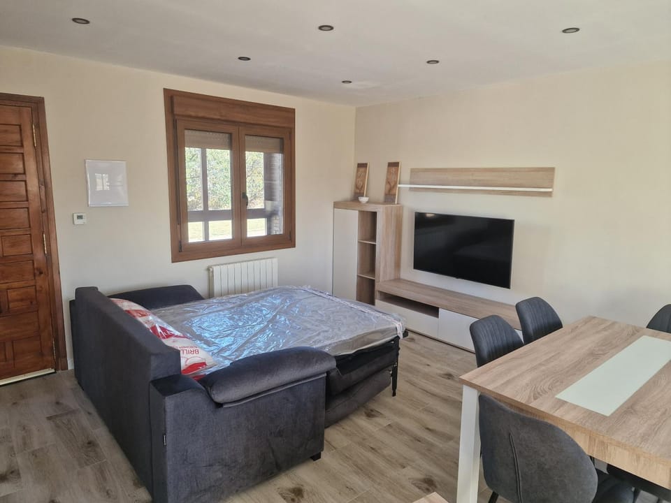 Communal lounge/ TV room, Bed, TV and multimedia, Living room, Photo of the whole room, Seating area, Bedroom