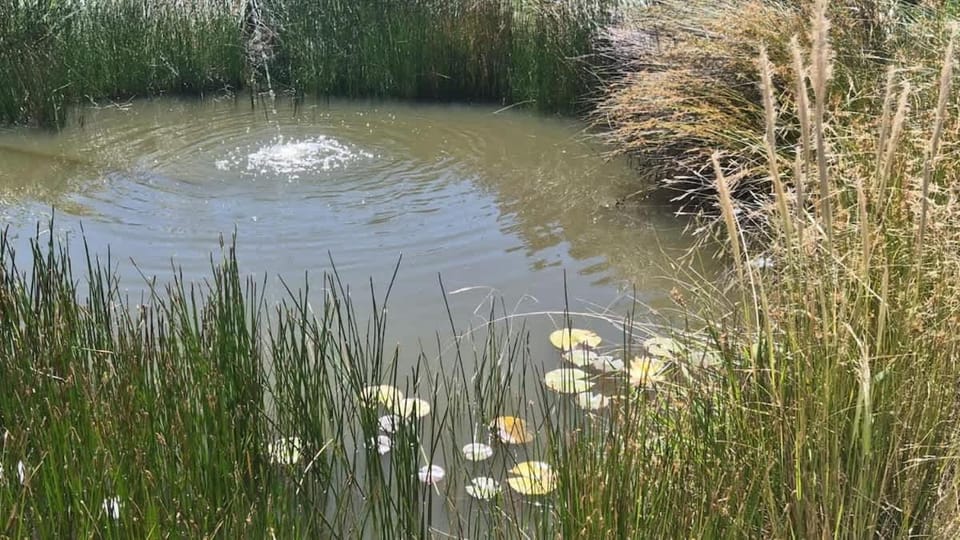 Skylight Pod at Eyvan Grove Orange House in Orange