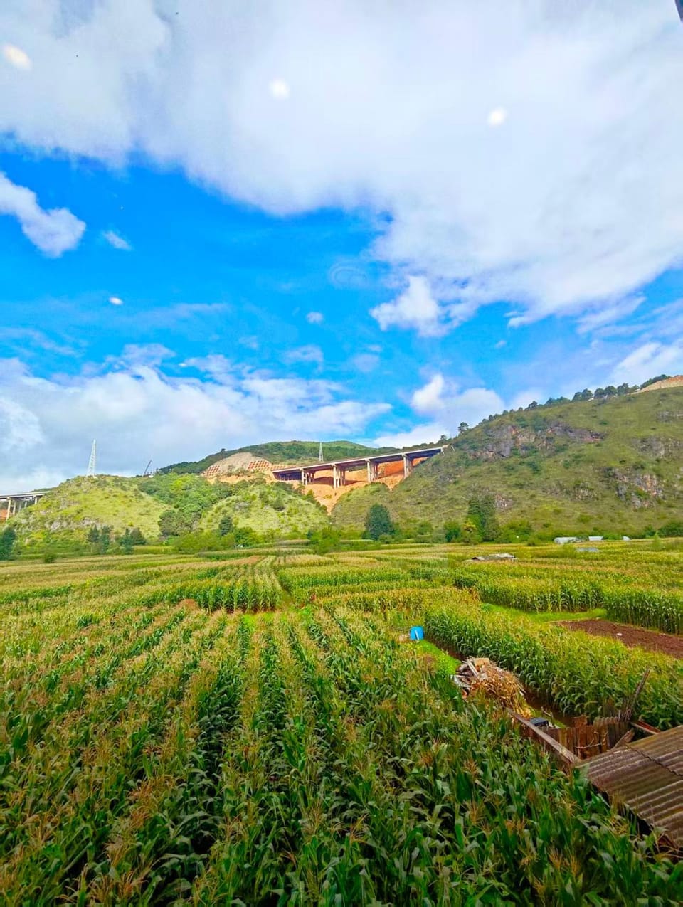Spring, Day, Natural landscape, Mountain view