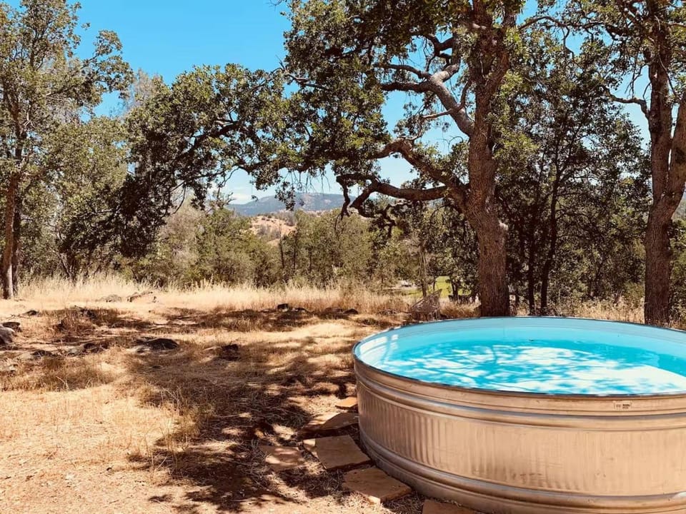 Yosemite Boho Bungalow, Pet Friendly & Mtn Views! House in Sierra Nevada