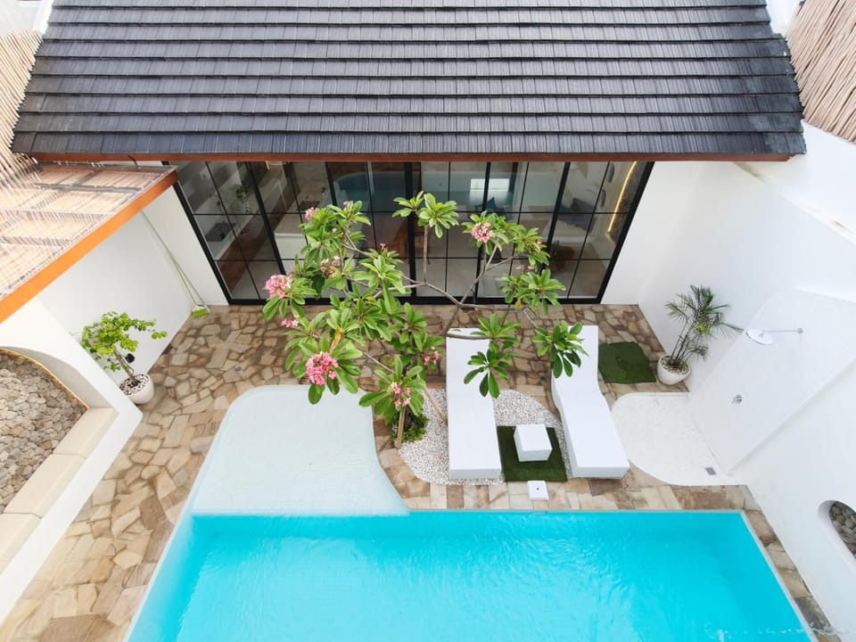 Property building, Patio, Day, Garden, Garden view, Pool view, Swimming pool