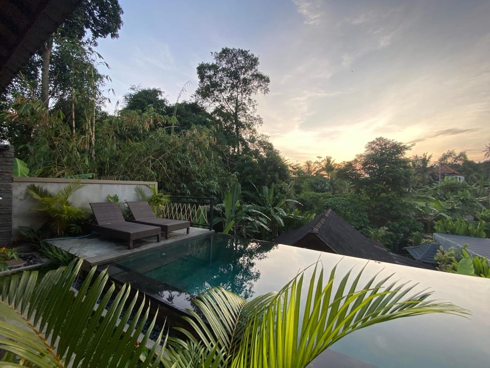 Day, Natural landscape, Garden, Garden view, Pool view, Swimming pool