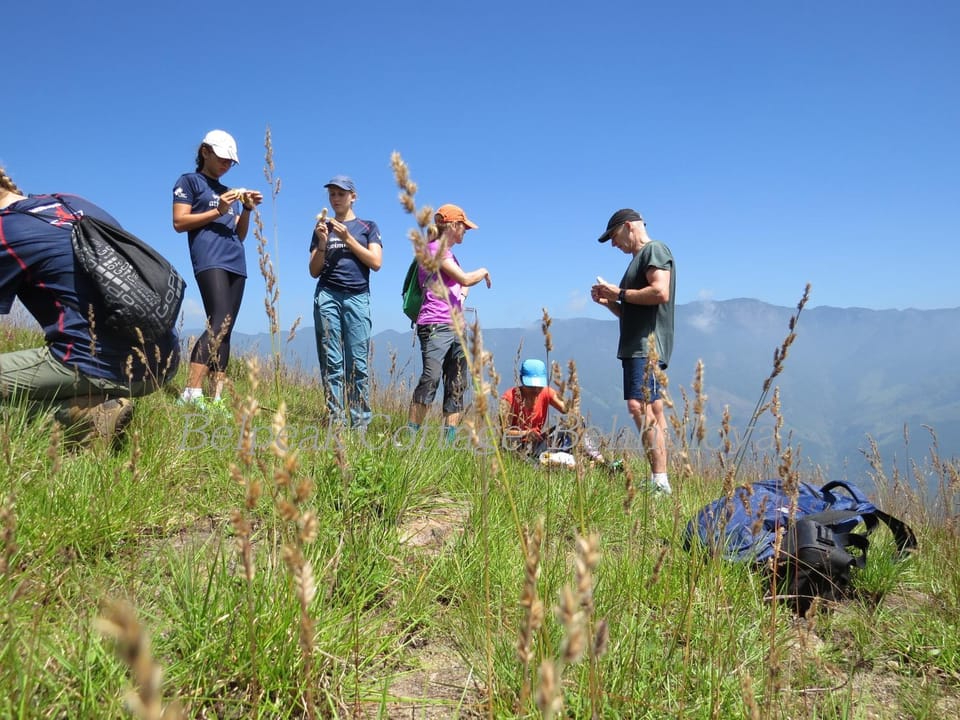 Natural landscape, Hiking, Hiking, Mountain view, group of guests
