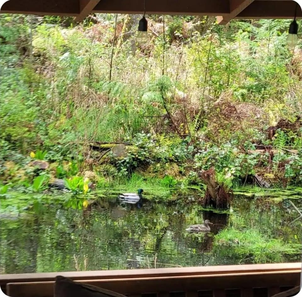 Spring, Natural landscape, View (from property/room)