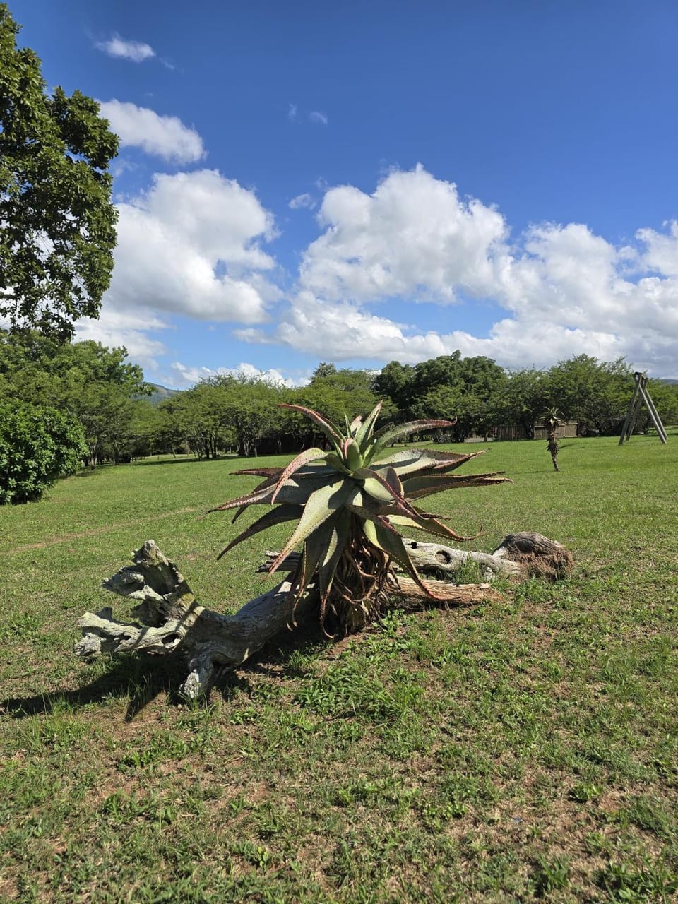 Intibane Lodge Nature lodge in KwaZulu-Natal