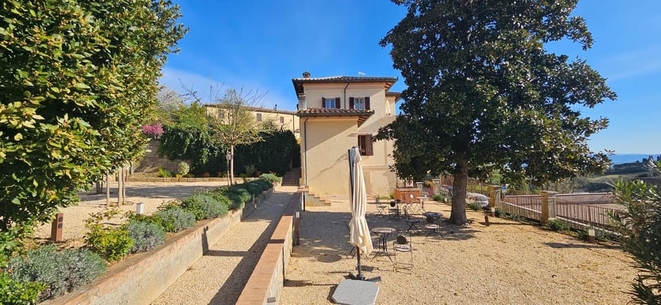 Garden view
