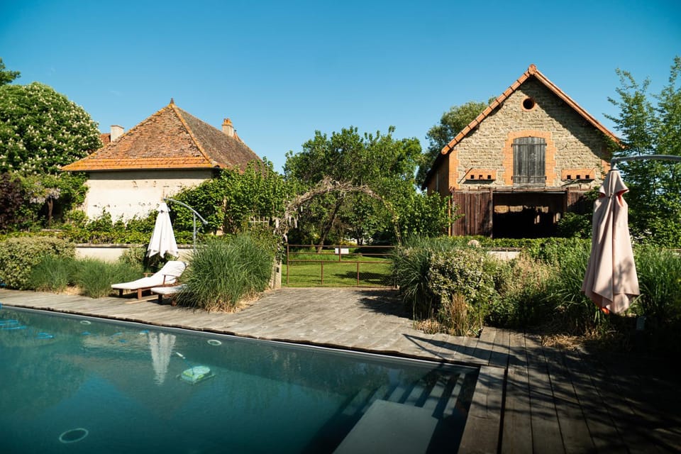 Garden, Garden view, Pool view, Swimming pool, Swimming pool, sunbed