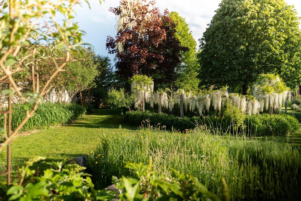 Spring, Natural landscape, Garden, Garden view