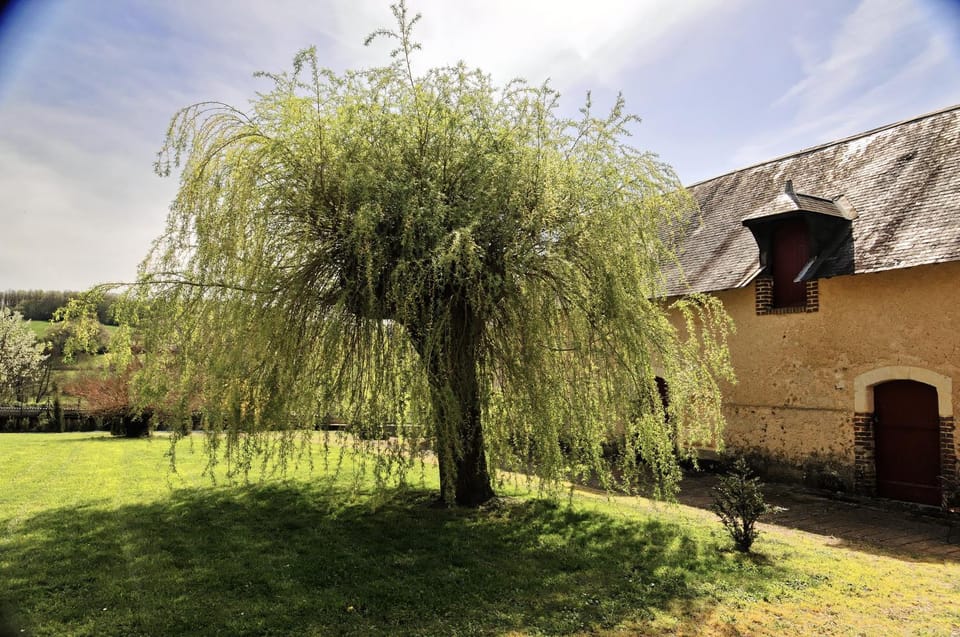 Gîte de charme Le Clos de la Pionnière classé 5 étoiles House in Pays de la Loire