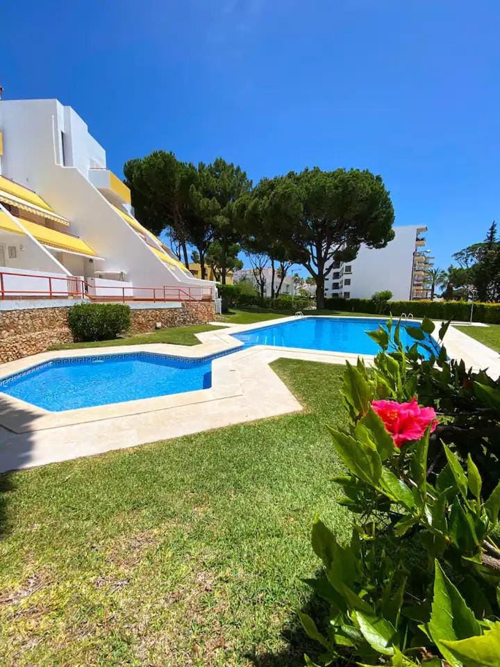 Day, Natural landscape, Garden, Garden view, Pool view, Swimming pool