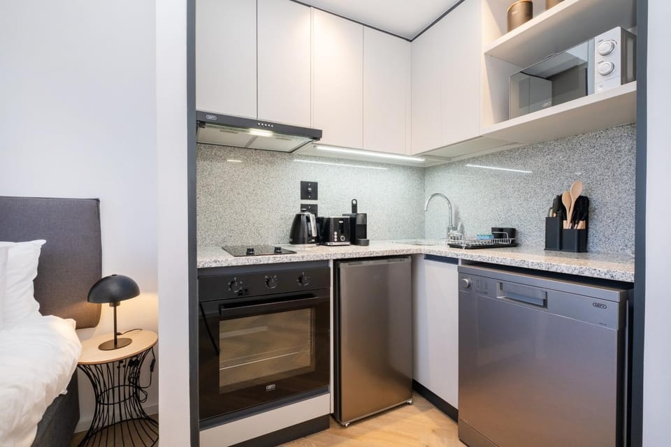 917 Zeeland -Studio Near CTICC with Daily Cleaning Apartment in Cape Town