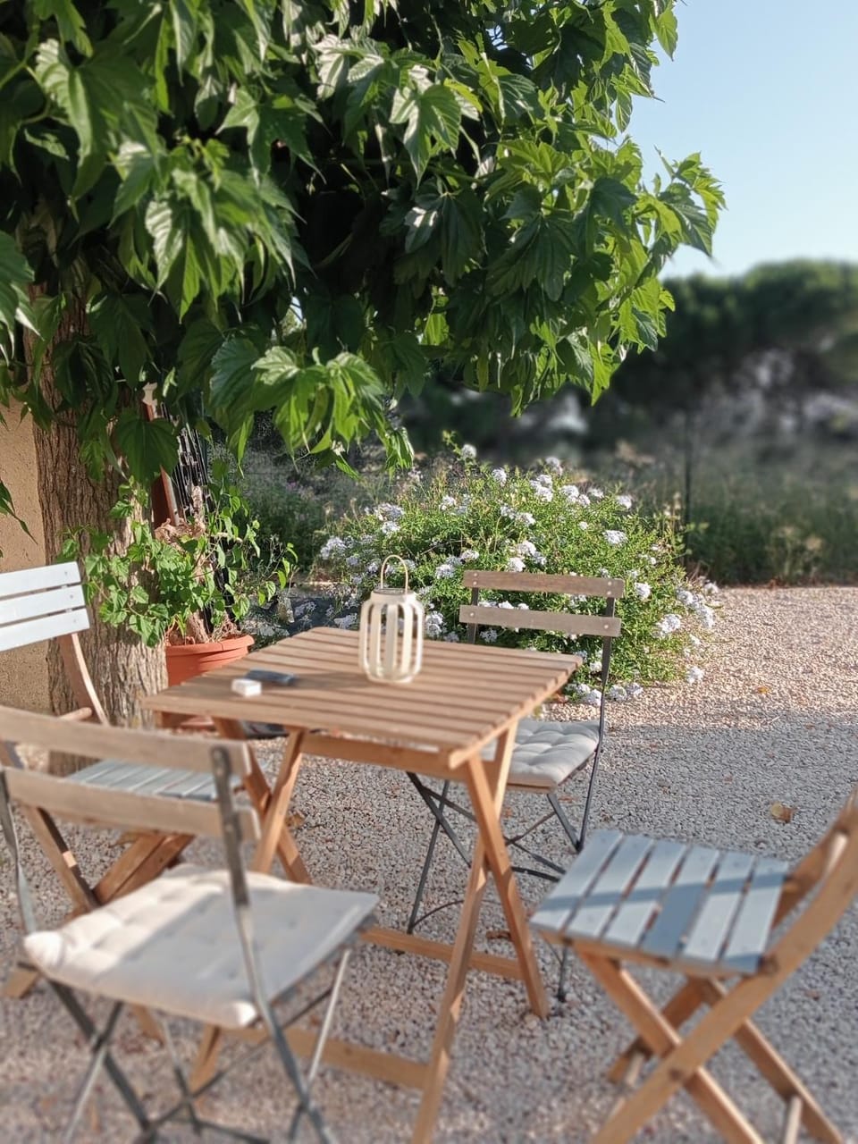 Villa Pamprenelle Villa in Occitanie