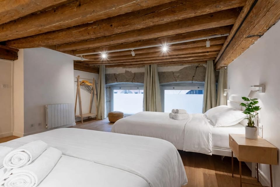 Modern and warm duplex Apartment in Lyon