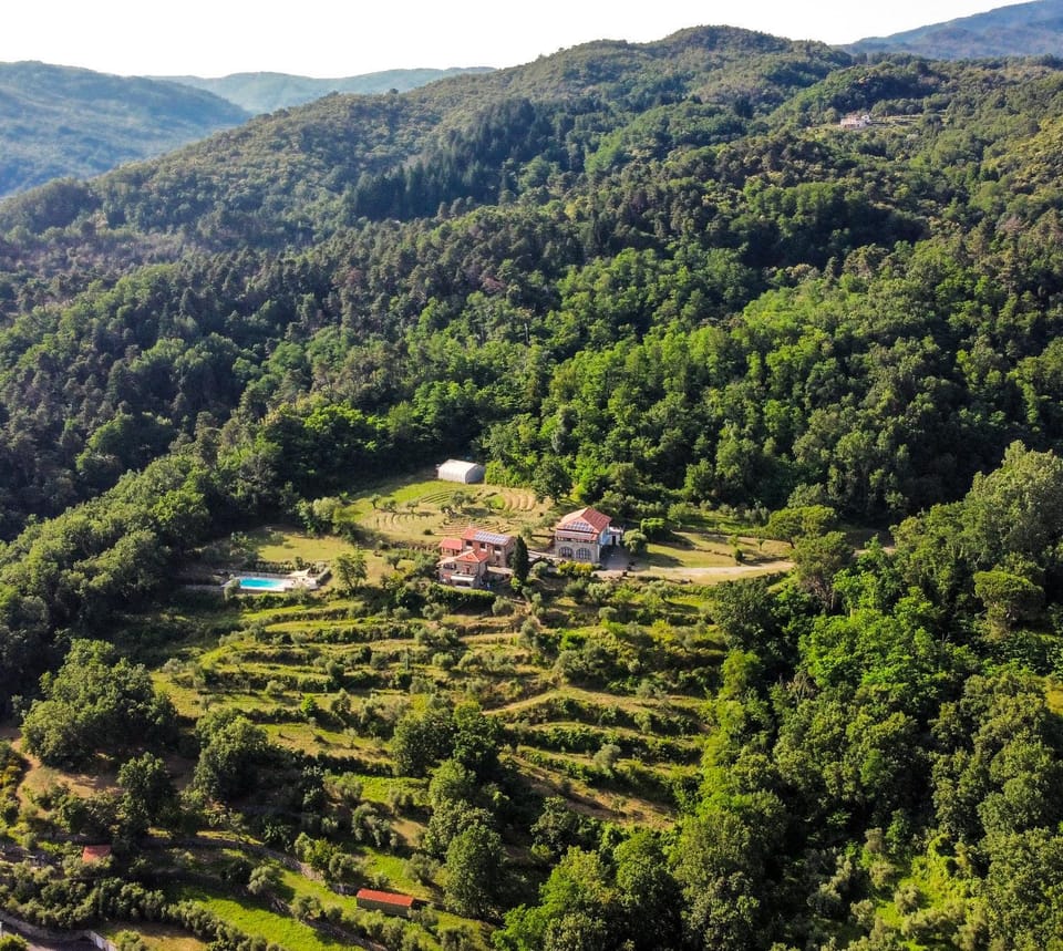 Natural landscape, Bird's eye view