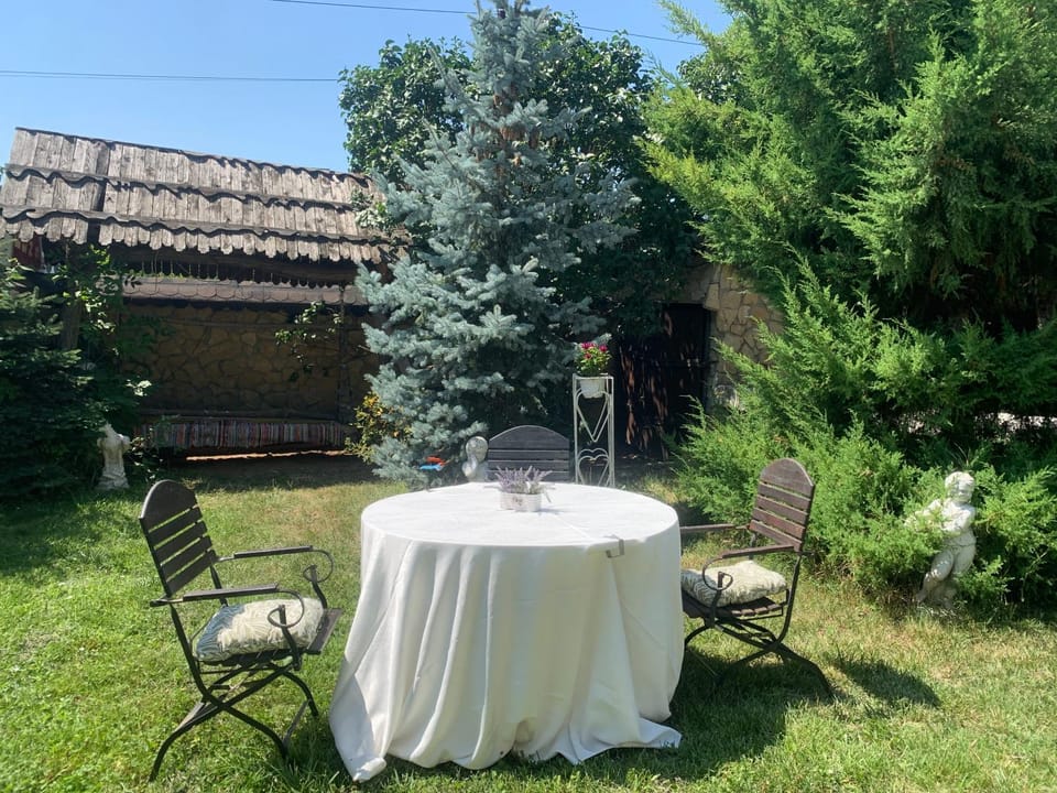 Cazare doar pentru echipe de muncitori 400 locuri Apartment in Moldova