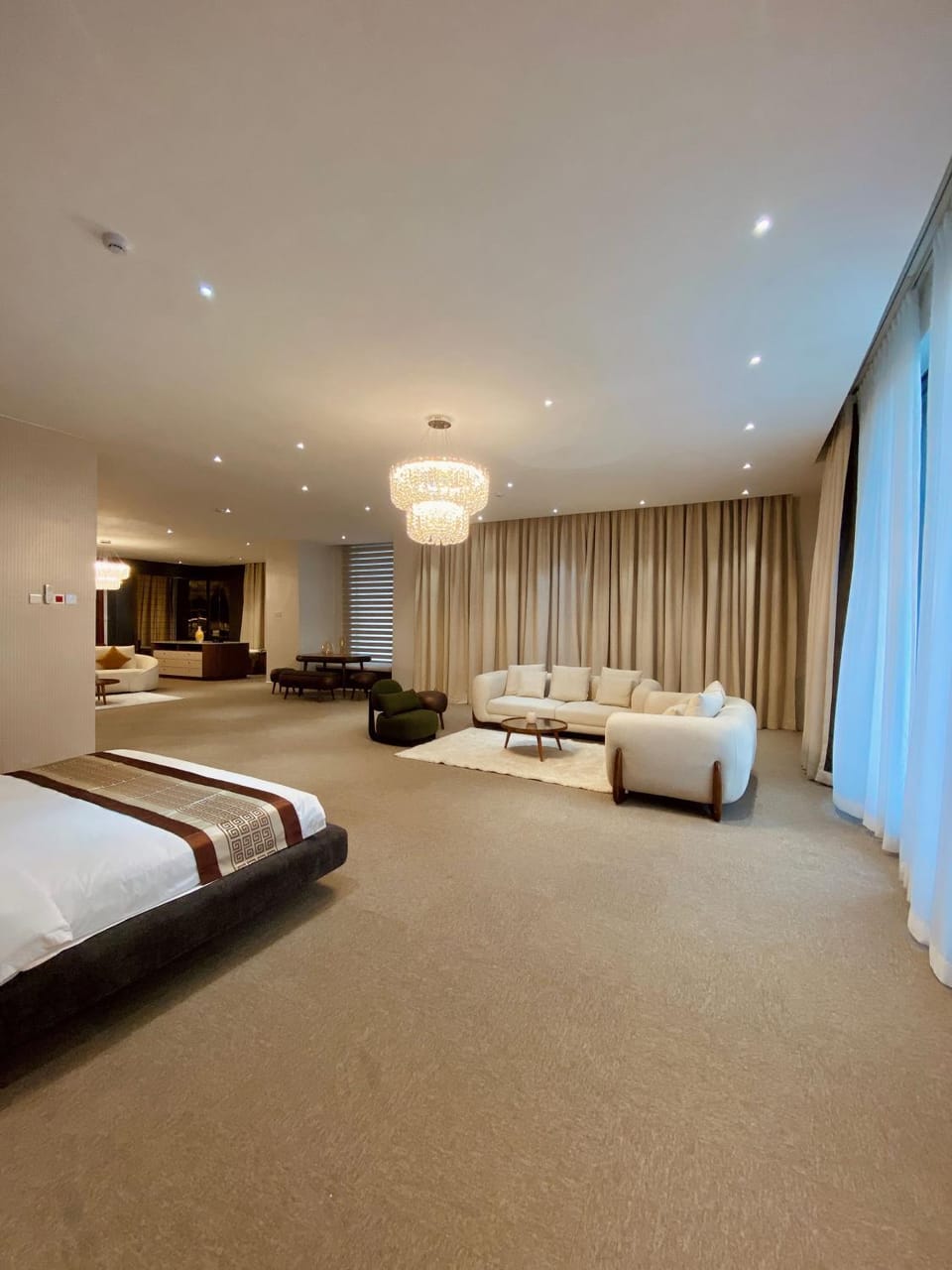Bed, Living room, Photo of the whole room, Bedroom