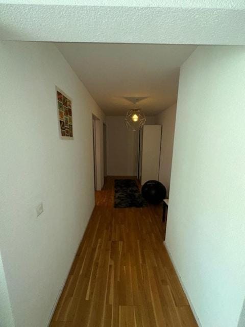 A room in semi shared flat Apartment in Zurich City