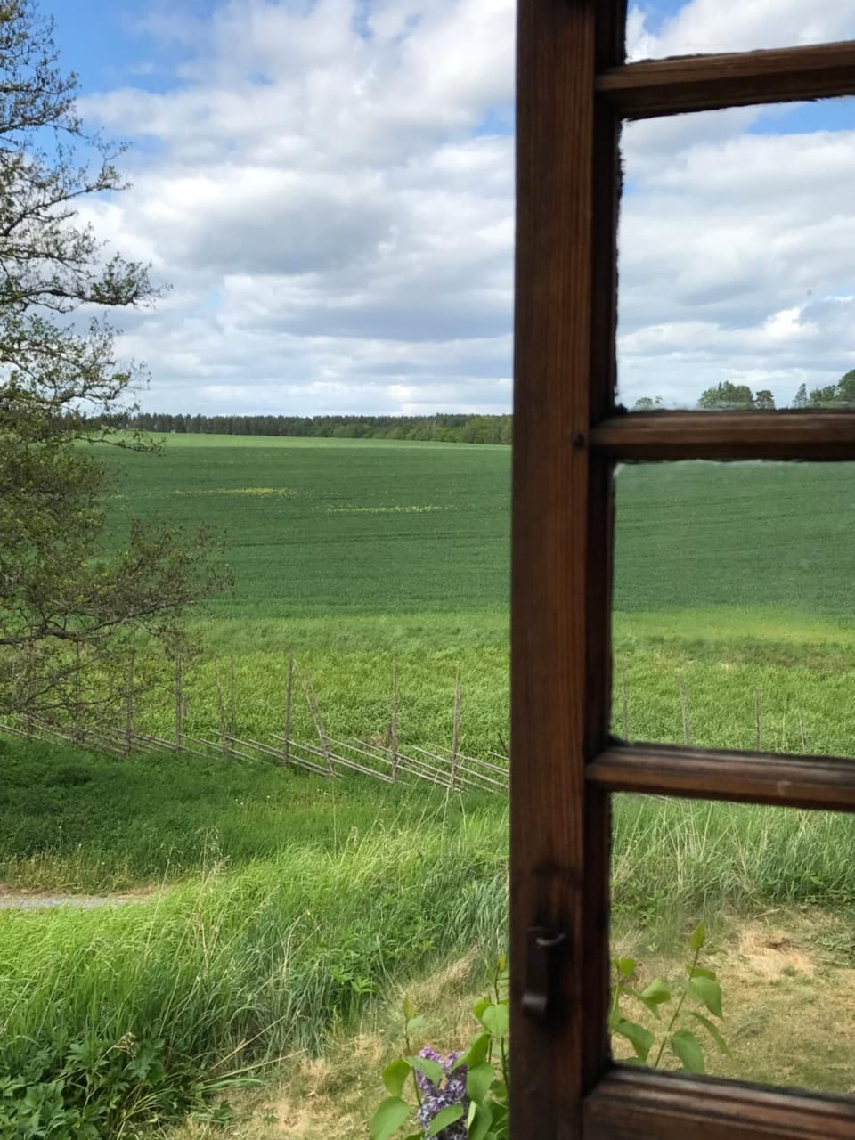 View (from property/room)