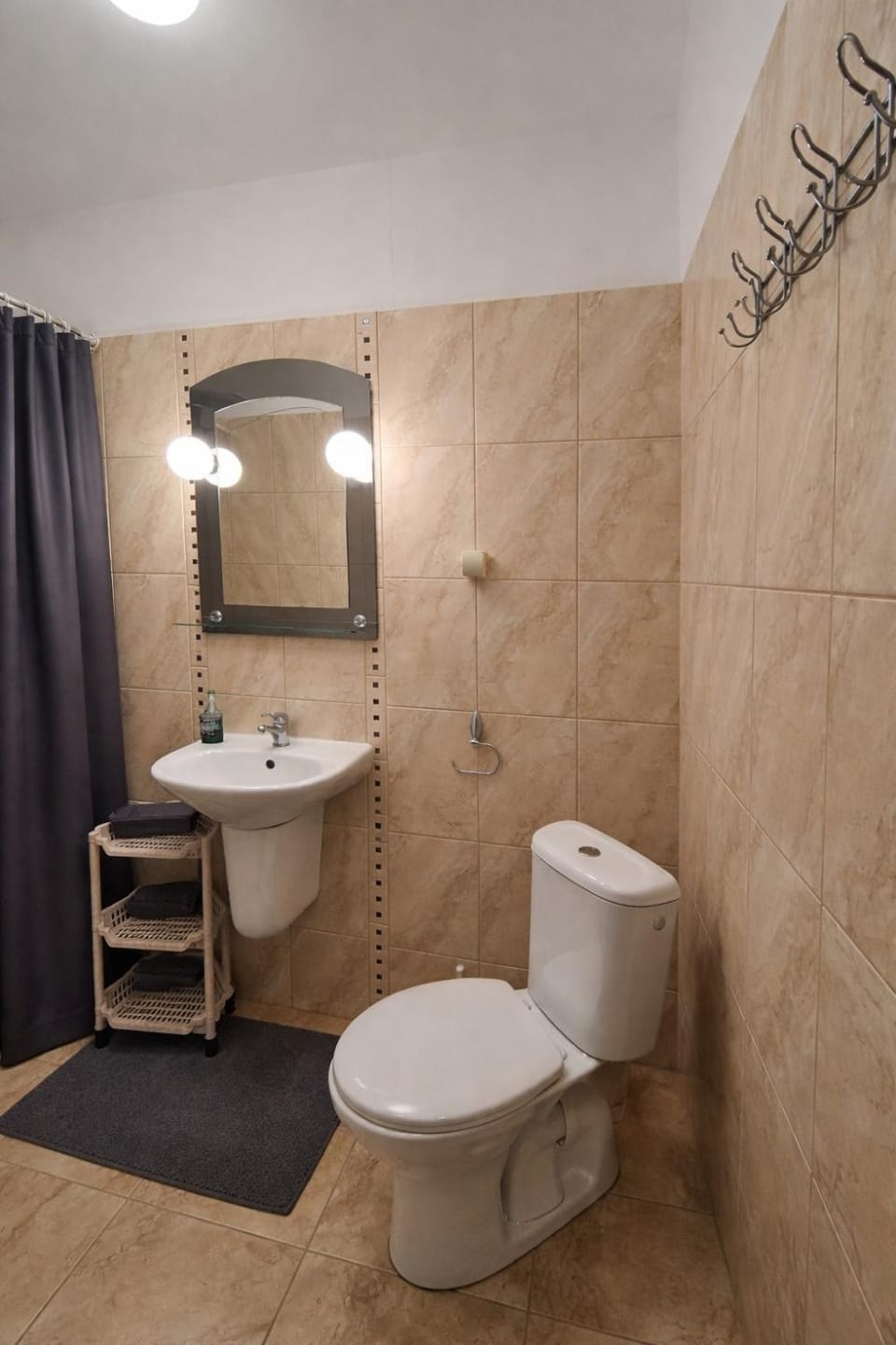 Shower, Toilet, Bathroom, towels