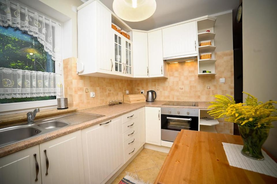 Kitchen or kitchenette, dishwasher, stove
