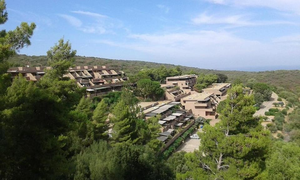 Property building, Day, Natural landscape