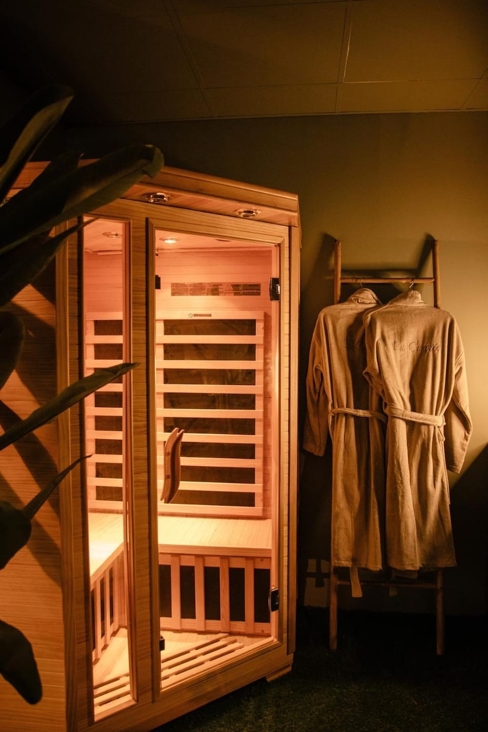La Canopée, Jungle Room Suite de Luxe - Jacuzzi Sauna Apartment in Grand Est
