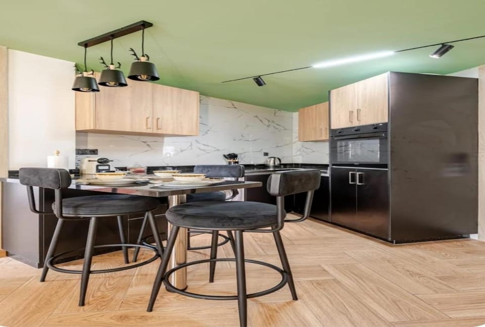 Kitchen or kitchenette, Dining area, oven, stove