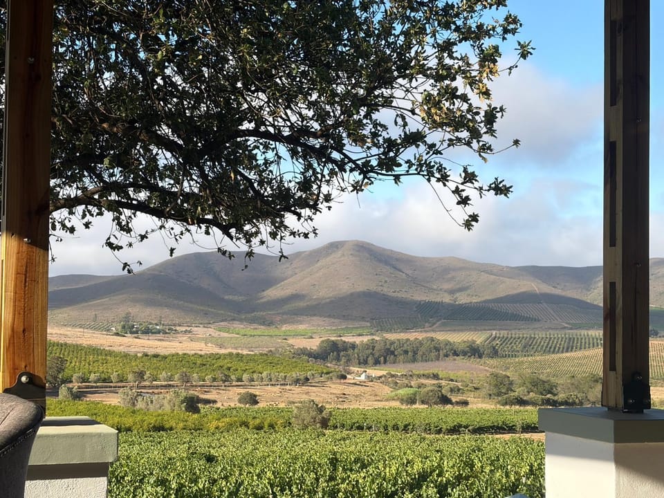 Garden, Mountain view