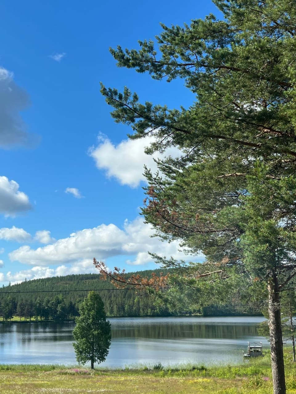 Lantlivlodge i Österjörn -Herrgård Hotel in Norrbotten County, Sweden