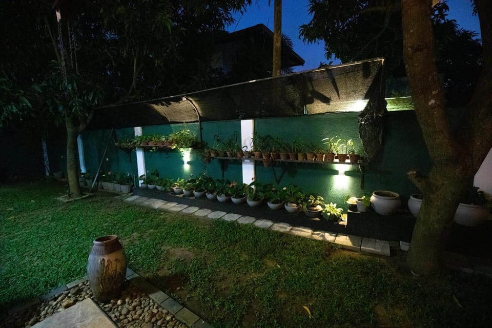 Night, Garden, Garden view