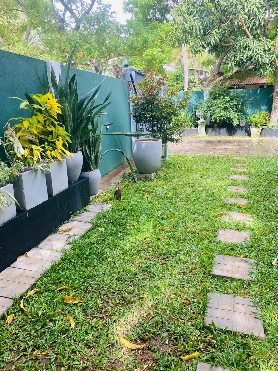 Spring, Day, Natural landscape, Garden, Garden view