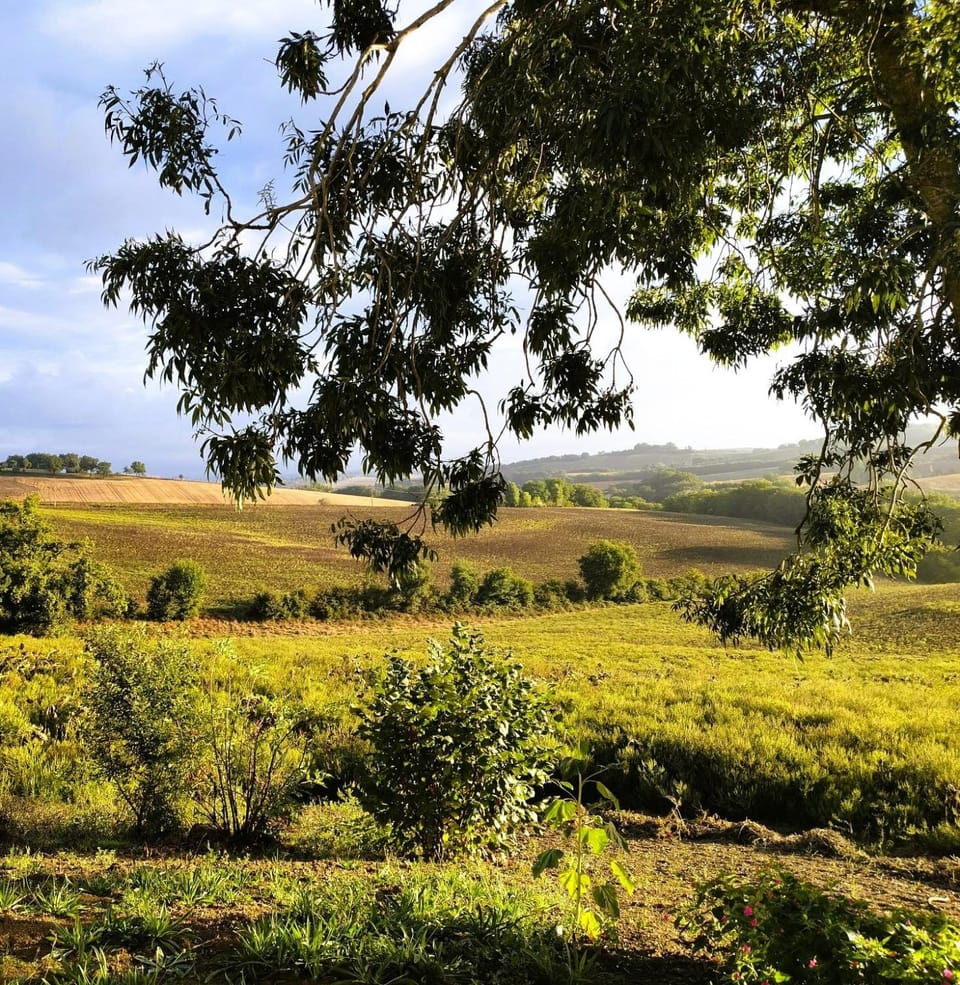 Natural landscape