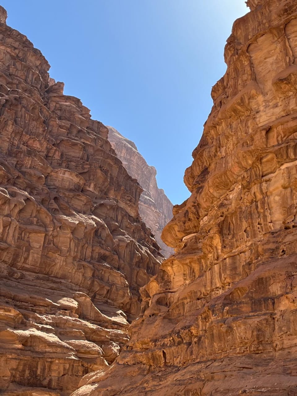 Taj Camp Wadi Rum Luxury tent in Africa