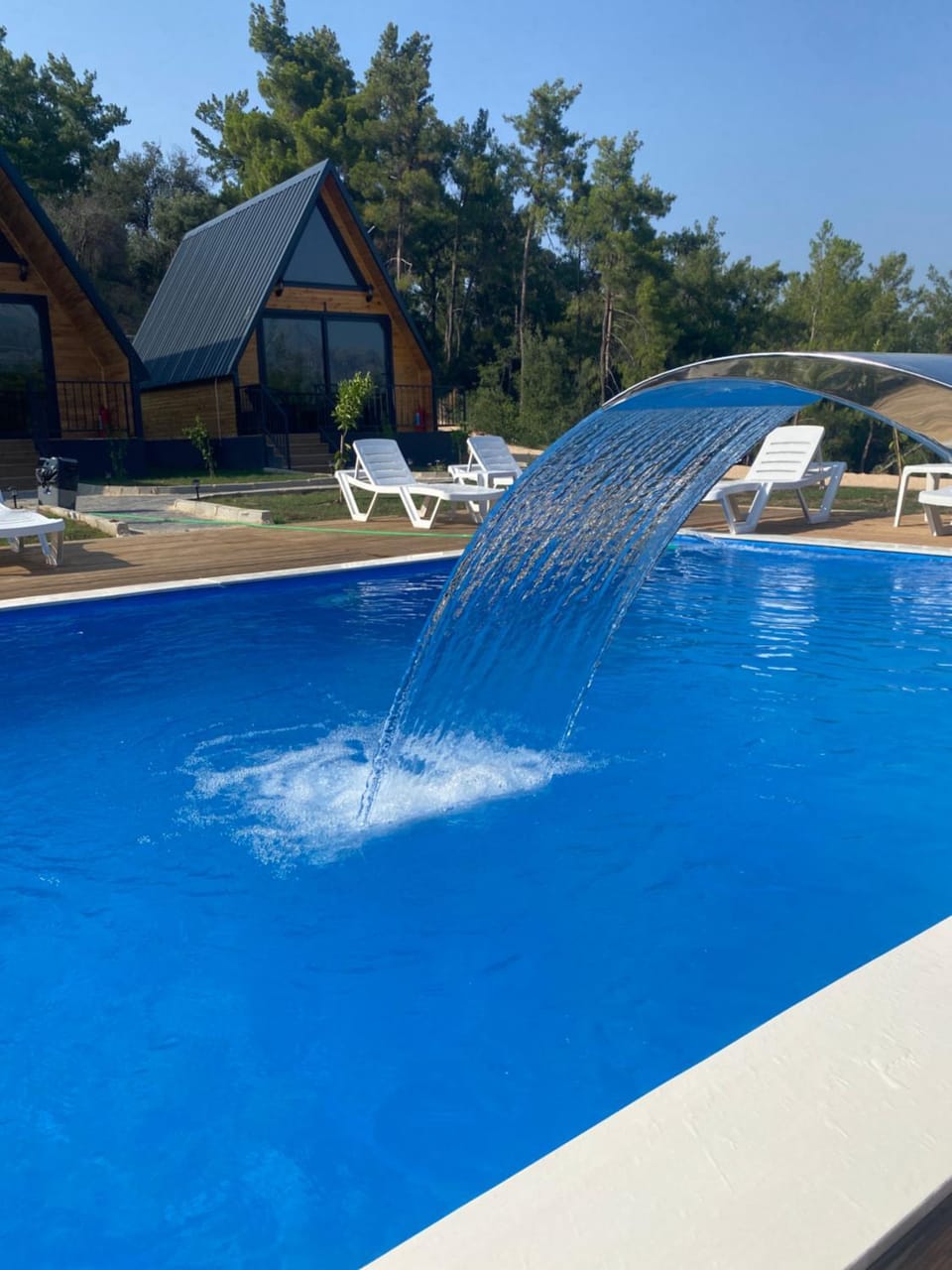 Day, Pool view, Swimming pool, sunbed