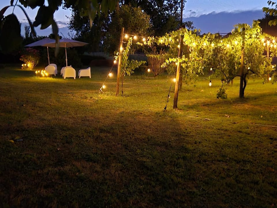 Night, Garden