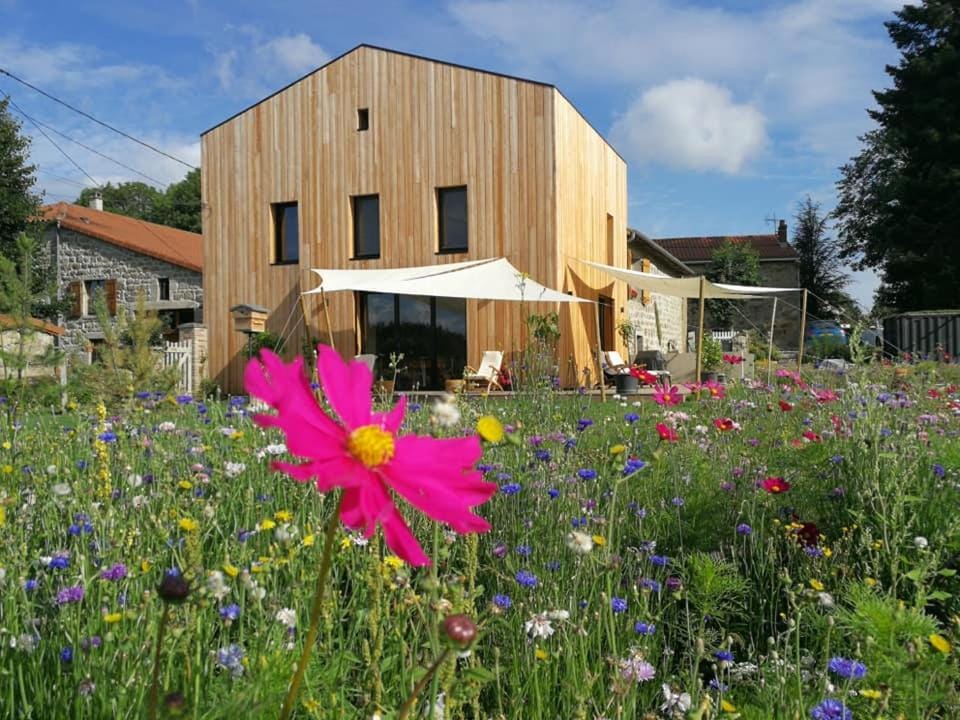 Property building, Garden, Garden view