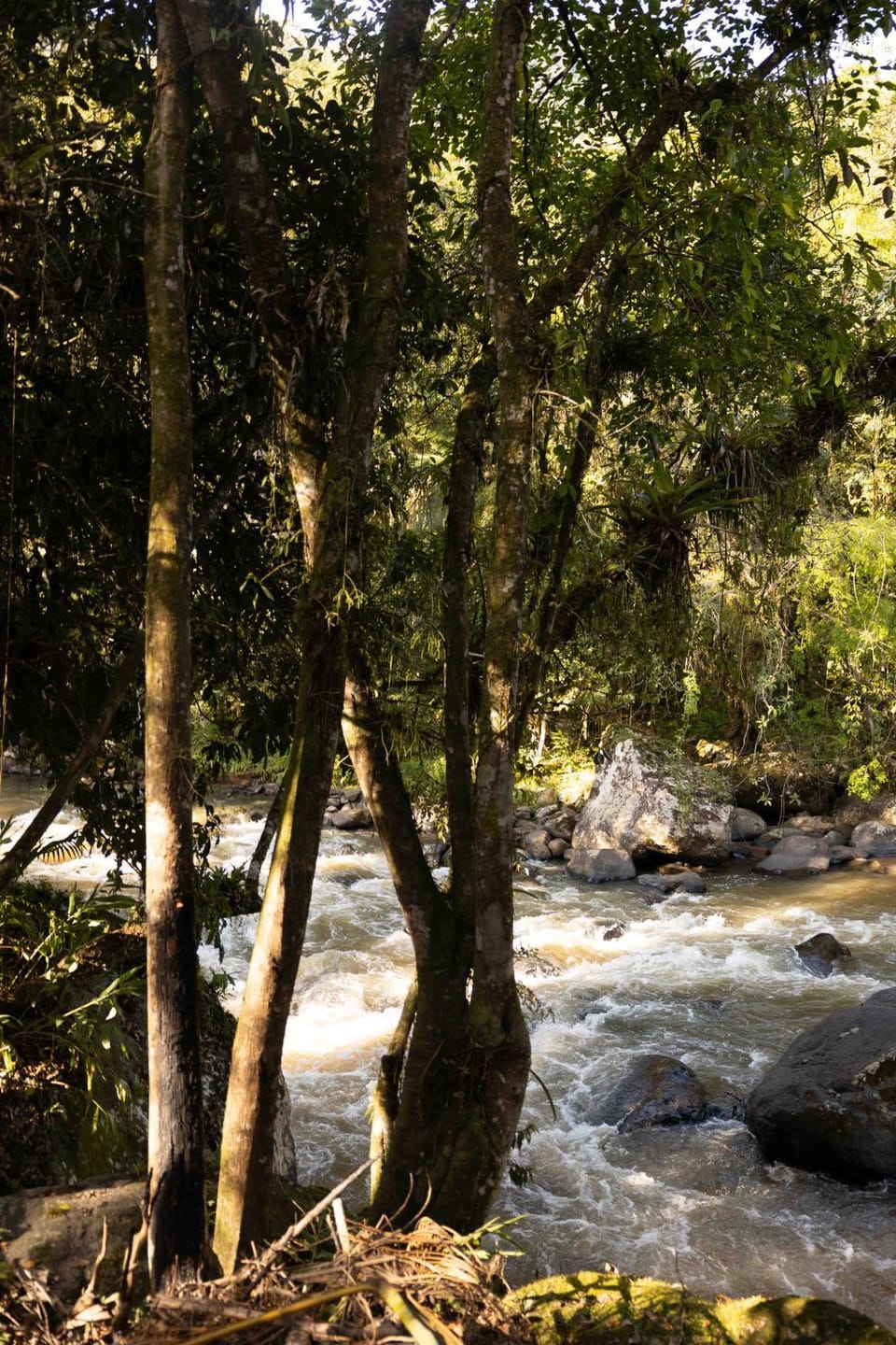 Nearby landmark, Natural landscape, River view