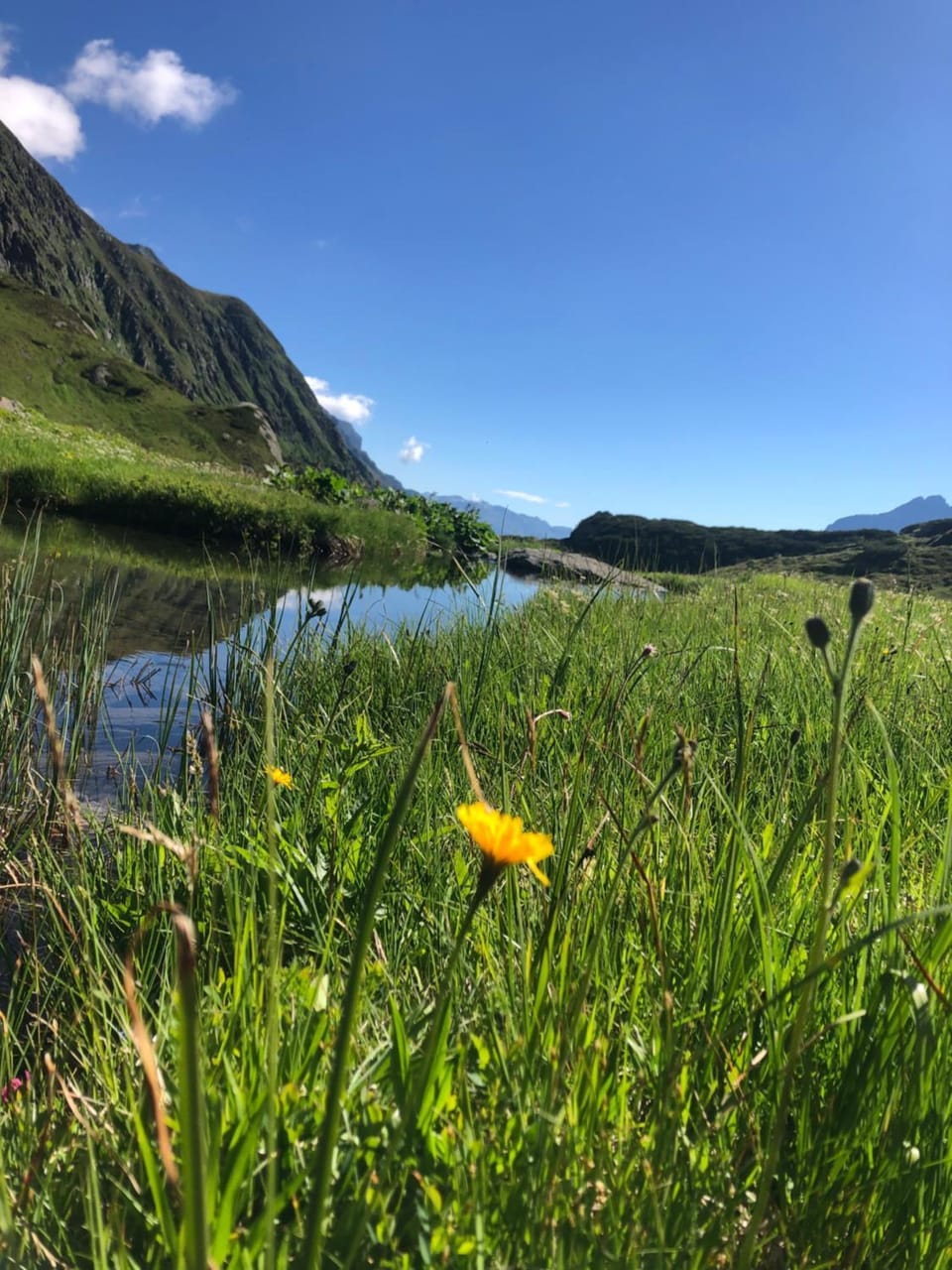Natural landscape