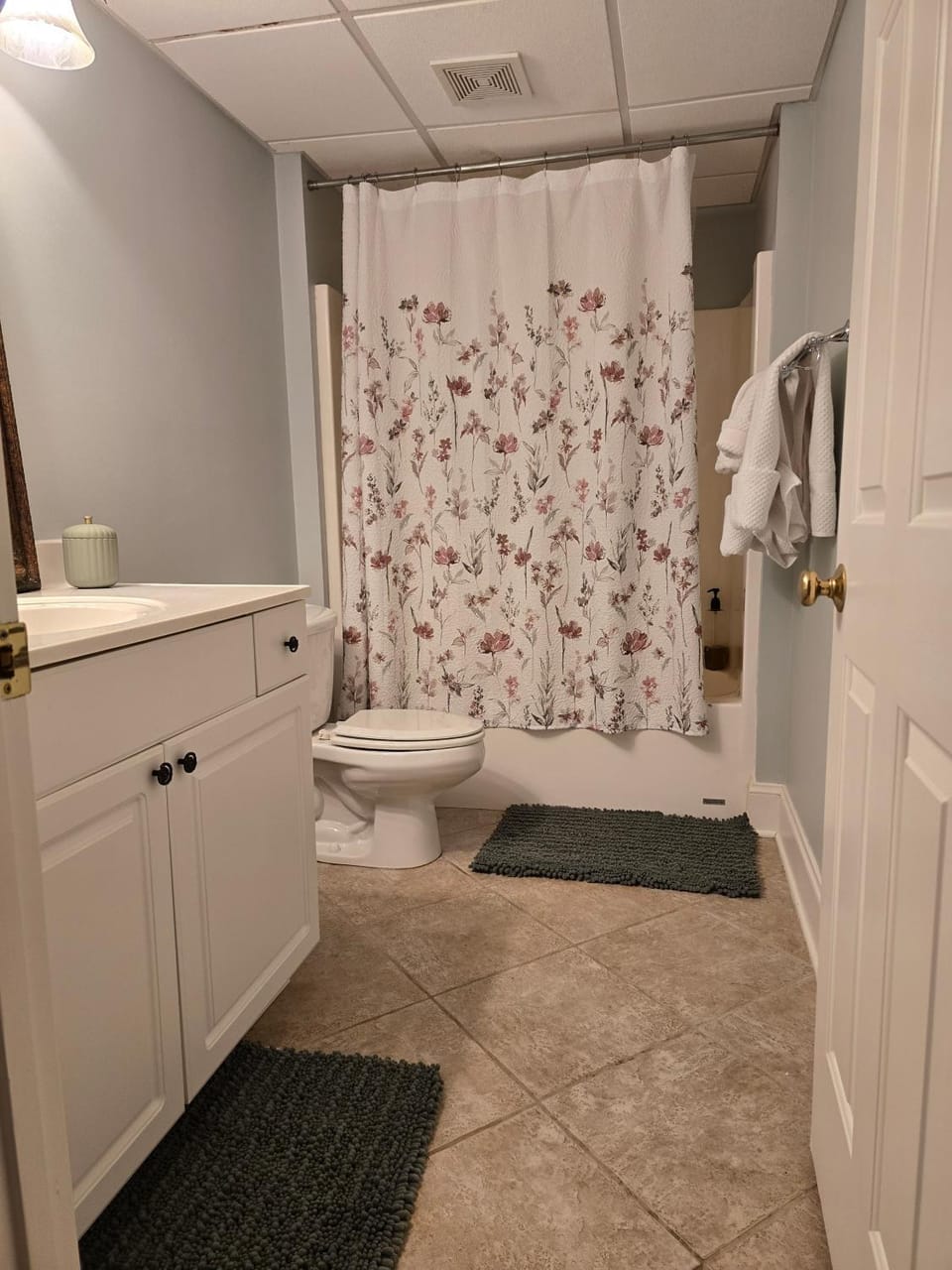 Entire Private 1BR Apartment, Private Entrance, Full Kitchen, Parking Apartment in Charlotte