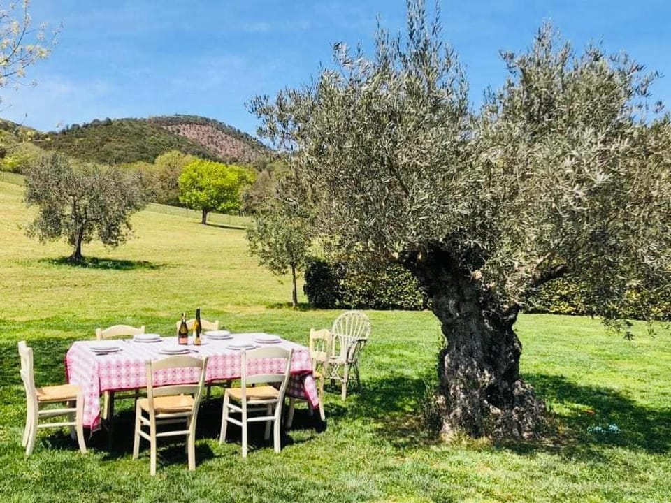 Casa degli Ulivi Country House in Perugia