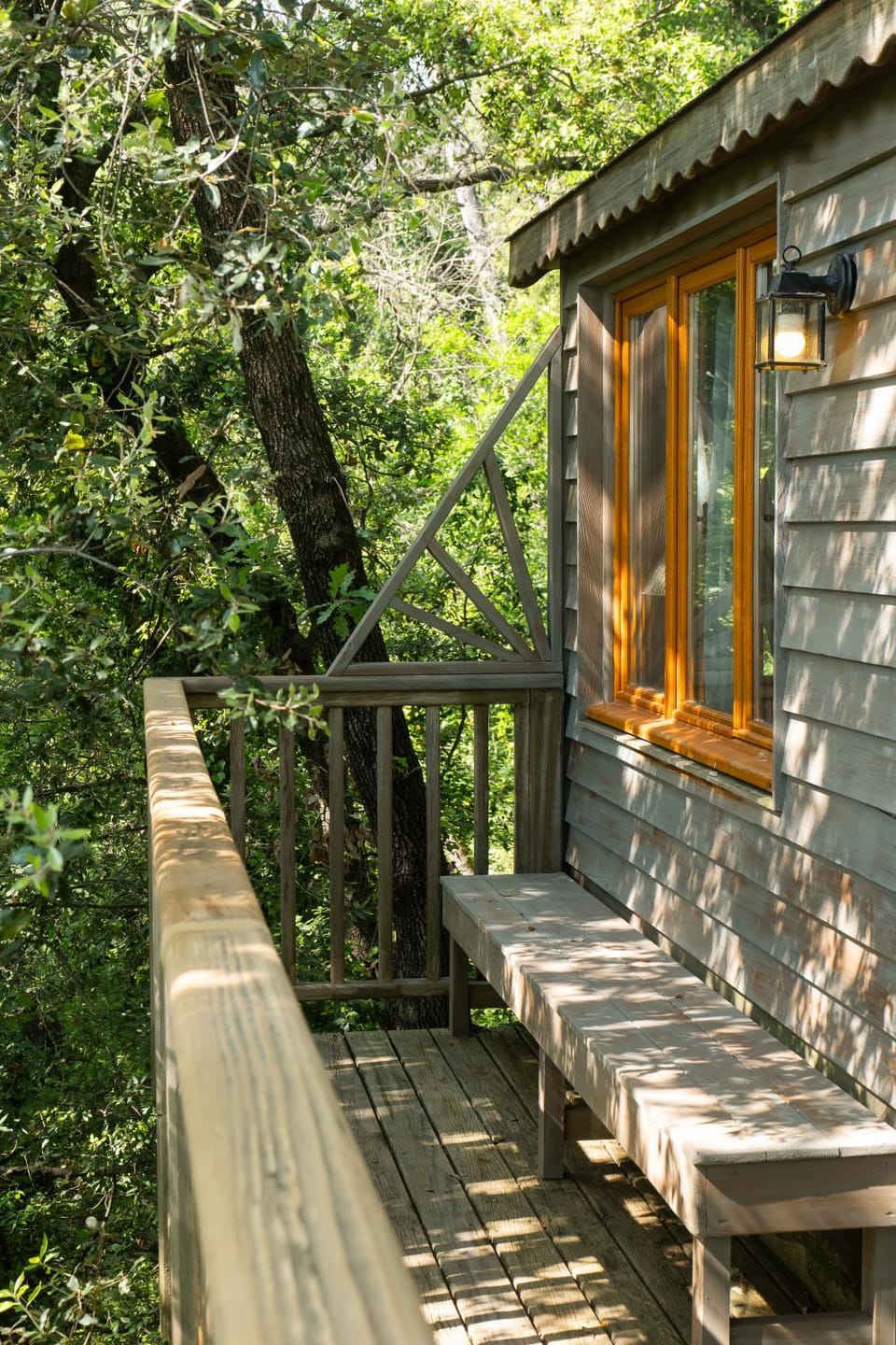 Orion Treehouses Bed and Breakfast in Saint Paul de Vence